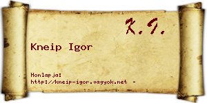 Kneip Igor névjegykártya
